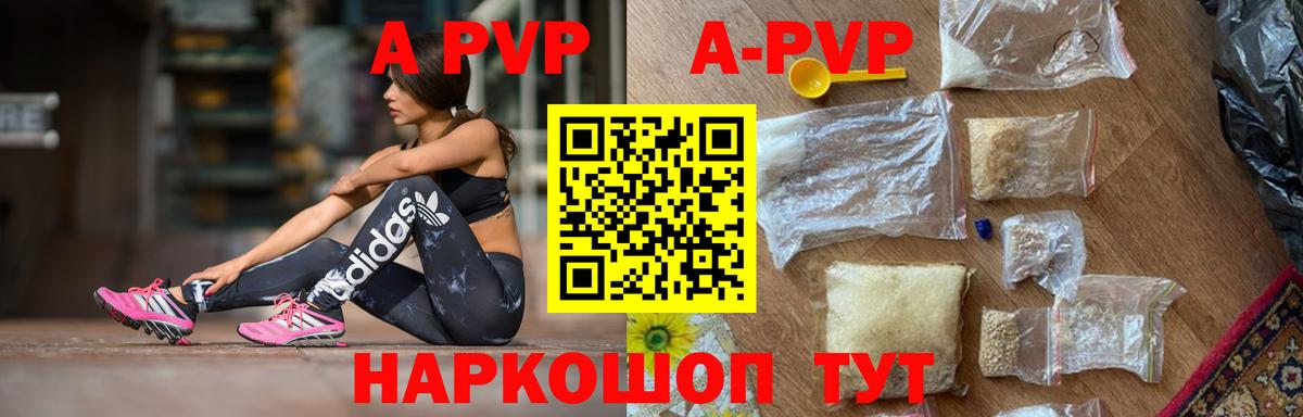 A-PVP СК КРИС Курчатов