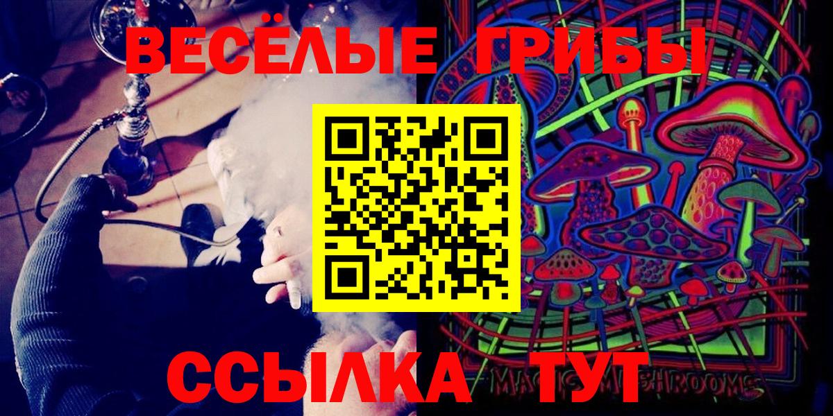 Галлюциногенные грибы Psilocybine cubensis Курчатов