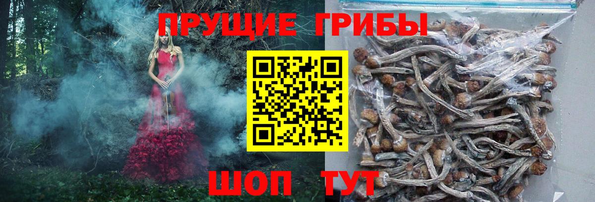 Псилоцибиновые грибы ЛСД  Вход с VPN  Псилоцибиновые грибы мицелий  Курчатов 